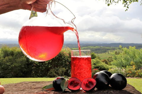 Boutique Atherton Tablelands Small-Group Food And Wine Tasting Tour From Cairns - Restaurant Gold Coast 18
