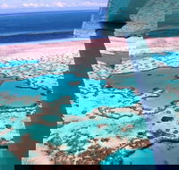 8-Day Cairns Tour Great Barrier Reef Kuranda Daintree Rainforest - Restaurant Gold Coast