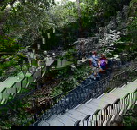 4-Day Cairns with Great Barrier Reef and Daintree Rainforest - Restaurant Gold Coast