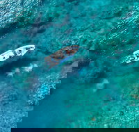 Premium Private Charter - Restaurant Gold Coast