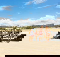 Dingos 2 Day Fraser Island 4x4 Tag Along - Restaurant Gold Coast
