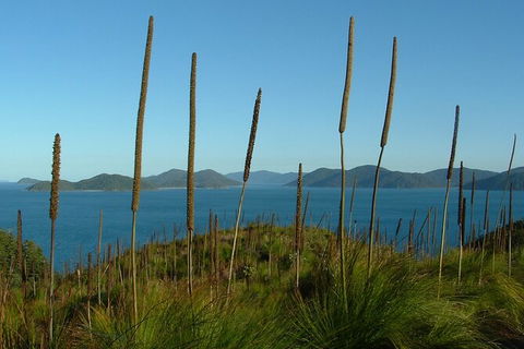 7-Day Private Sea Kayaking In Whitsundays - Restaurant Gold Coast 8