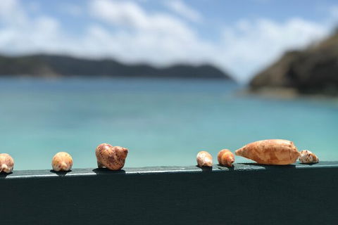 7-Day Private Sea Kayaking In Whitsundays - Restaurant Gold Coast 1
