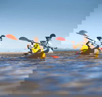 Kangaroo Island Self-Guided Kayaking on the Harriet River - Restaurant Gold Coast