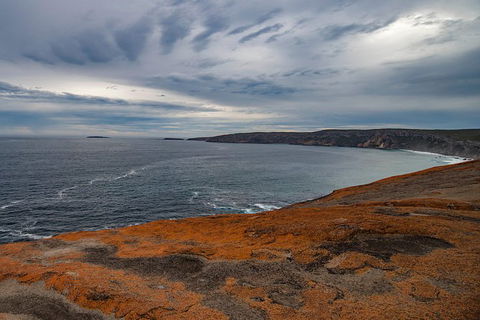Kangaroo Island Luxury Small Group \'Flinders Chase Focus\' Full Day Tour - Restaurant Gold Coast 2