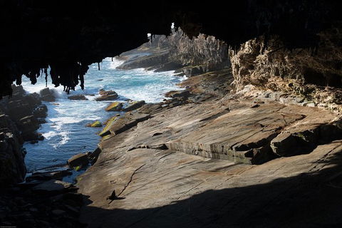 Kangaroo Island Luxury Small Group \'Flinders Chase Focus\' Full Day Tour - Restaurant Gold Coast 6