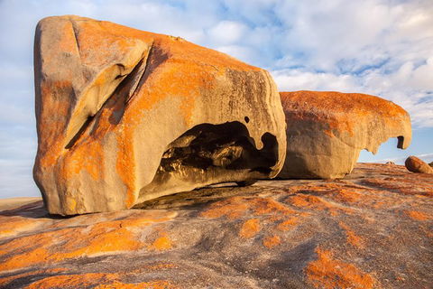 Kangaroo Island Luxury Small Group \'Flinders Chase Focus\' Full Day Tour - Restaurant Gold Coast 1