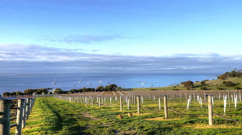 Kangaroo Island Gourmet Food And Wine Trail Tour - Restaurant Gold Coast 3