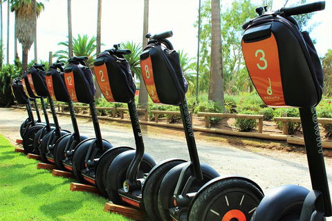 Segway Tour At Seppeltsfield Winery - Restaurant Gold Coast 3