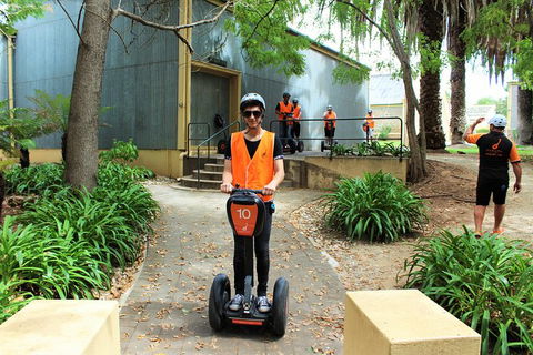 Segway Tour At Seppeltsfield Winery - Restaurant Gold Coast 1