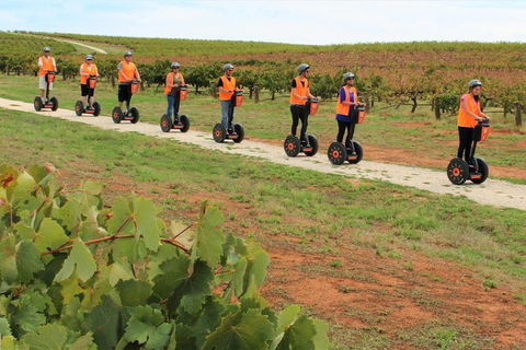 Segway Tour At Seppeltsfield Winery - Restaurant Gold Coast 7