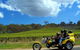 Unique Trike Barossa Valley Half Day Private Tour For 2 - thumb 0