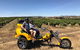 Unique Trike Barossa Valley Half Day Private Tour For 2 - thumb 3