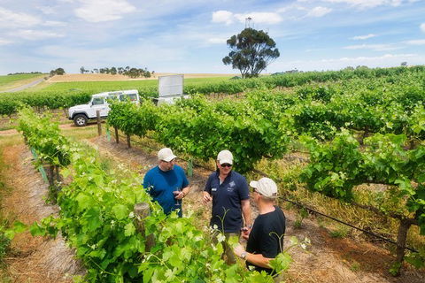 Two Hands Wines \'Single Vineyards Experience\' - Restaurant Gold Coast 1