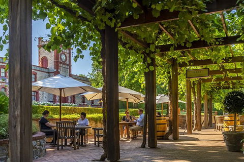 Yalumba Nursery & Grenache Discovery Tour + Platter Lunch - Restaurant Gold Coast 4