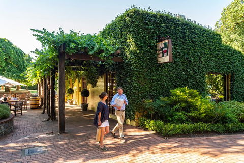 Yalumba Nursery & Grenache Discovery Tour + Platter Lunch - Restaurant Gold Coast 3