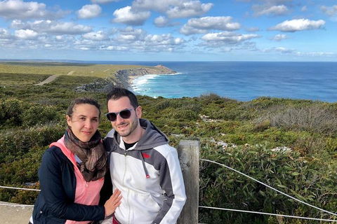 NEW TOUR - Flinders Chase Tour (Recovering From Fires) - Restaurant Gold Coast 3