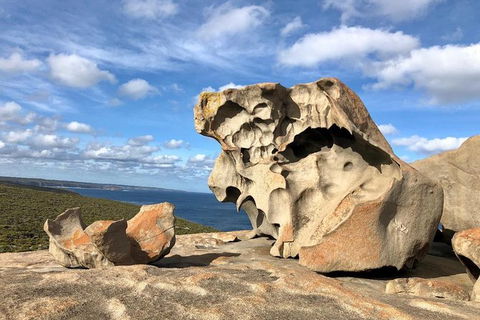 NEW TOUR - Flinders Chase Tour (Recovering From Fires) - Restaurant Gold Coast 2