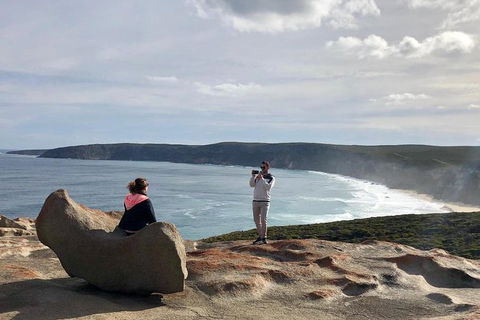 NEW TOUR - Flinders Chase Tour (Recovering From Fires) - Restaurant Gold Coast 5