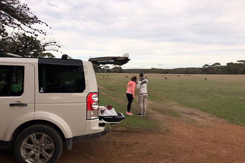 NEW TOUR - Flinders Chase Tour (Recovering From Fires) - Restaurant Gold Coast 6