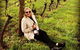 Tamar Valley Wine Tours - thumb 42