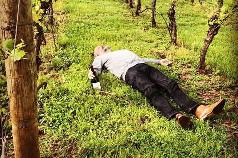 Tamar Valley Wine Tours - Restaurant Gold Coast 28