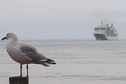 Cruise Ship Excursion: Stanley - Restaurant Gold Coast 9