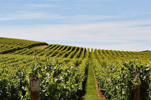 Launceston Wine & Sightseeing Tours - Restaurant Gold Coast 3