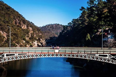 3.5 Hours Walking Tour To Cataract Gorge With Local Guide - Restaurant Gold Coast 5