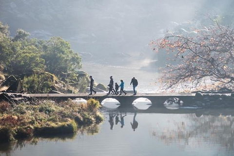 3.5 Hours Walking Tour To Cataract Gorge With Local Guide - Restaurant Gold Coast 4