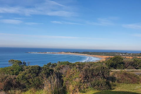 Private Great Ocean Road And Chocolaterie Tour With Tasting - Restaurant Gold Coast 5