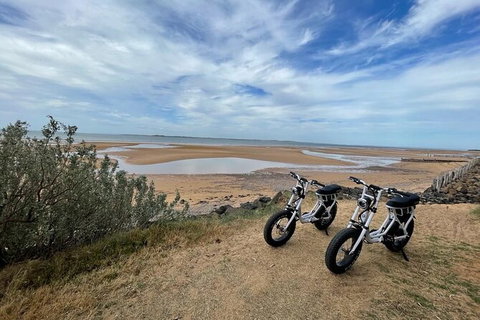E-Bike Hire Super Cruzer In Phillip Island - Restaurant Gold Coast 3