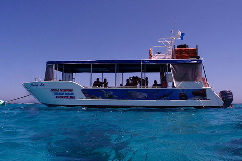 Coral Bay 1-Hour Coral Viewing - Restaurant Gold Coast 1