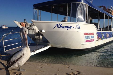 Coral Bay 1-Hour Coral Viewing - Restaurant Gold Coast 0