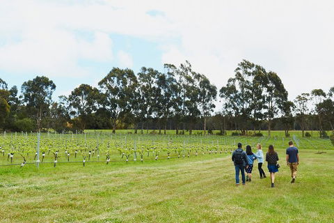 Organic Vineyard/Farm Tour - Restaurant Gold Coast 7