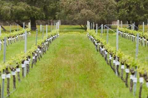 Organic Vineyard/Farm Tour - Restaurant Gold Coast 4