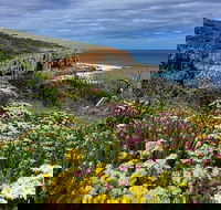 Guided Walks on the Cape to Cape - Moses Rock to Ellenbrook - Restaurant Gold Coast