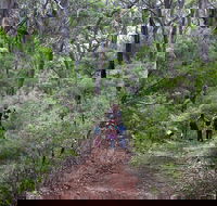 Guided Walks on the Cape to Cape - Skippy Rock - Restaurant Gold Coast