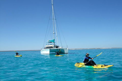 5 Night Ningaloo Reef Ningaloo Escape From Coral Bay - Restaurant Gold Coast 0