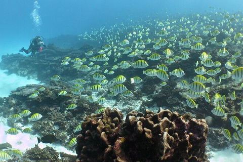 5 Night Ningaloo Reef Ningaloo Escape From Coral Bay - Restaurant Gold Coast 5