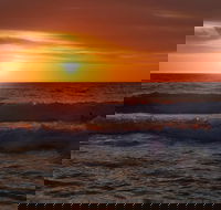 Australian animals Seascape and Sunset Photography Tour - Restaurant Gold Coast