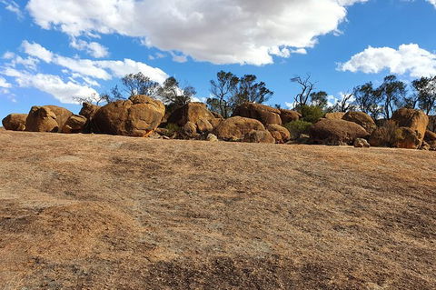 Full-Day Tour Of Wave Rock And York With Lunch - Restaurant Gold Coast 8