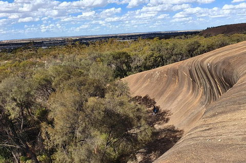 Full-Day Tour Of Wave Rock And York With Lunch - Restaurant Gold Coast 7