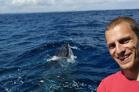 Whale Watching Boat Tour In Geraldton - Restaurant Gold Coast 2