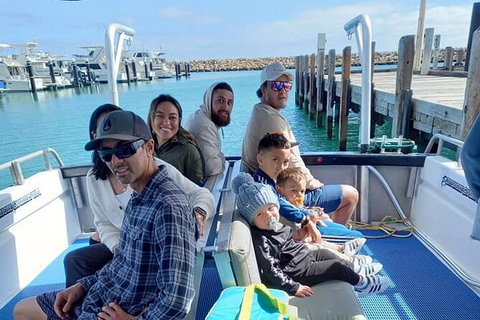 Whale Watching Boat Tour In Geraldton - Restaurant Gold Coast 1