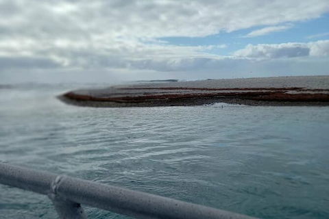 Abrolhos Islands Fishing Charter - Restaurant Gold Coast 6