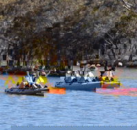Private Guided River Kayak Tour - Restaurant Gold Coast