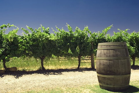 Pinnacles Desert Private Tour - Restaurant Gold Coast 4