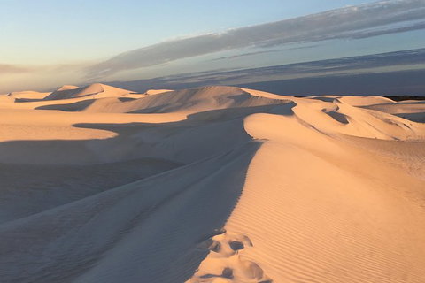 Pinnacles Desert Private Tour - Restaurant Gold Coast 2