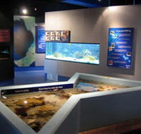 Marine and Freshwater Discovery Centre - Restaurant Gold Coast
